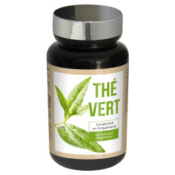 Nutri Expert Thé Vert 60 gélules